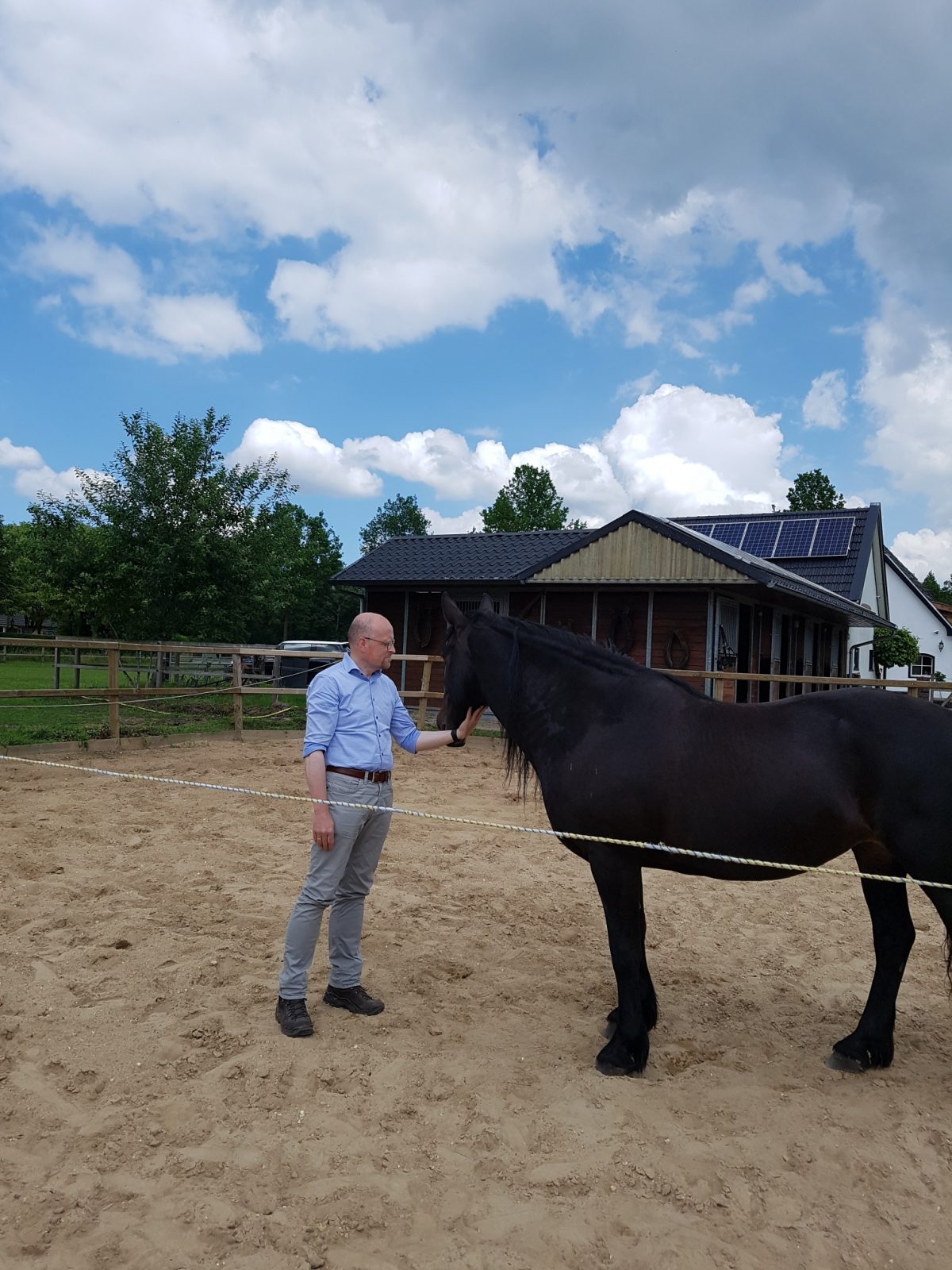 Paardencoaching