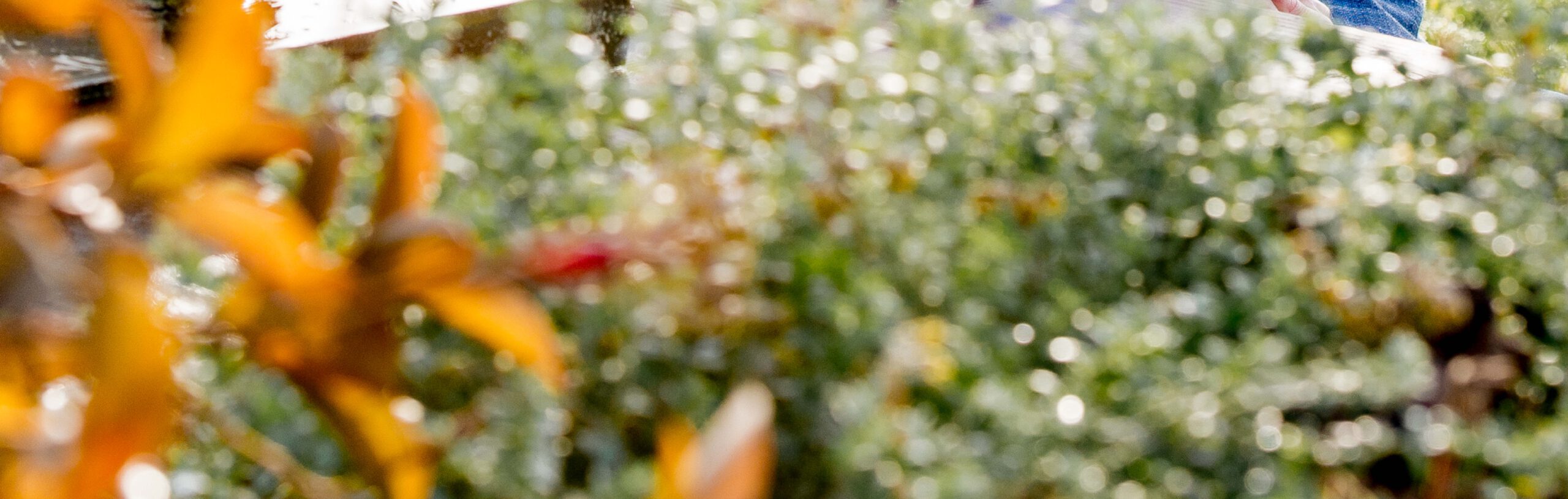 Nieuwsbrief Juni: Dienen – DENKEN – doen